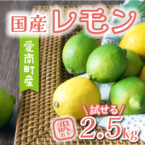 訳あり レモン 2.5kg 5000円 柑橘 サイズ 不揃い 家庭用 檸檬 国産 れもん フルーツ 果物 果実 産地直送 農家直送 数量限定 期間限定 特産品 瀬戸内 ワックス 防腐剤 不使用 果汁 人気 新鮮 少量 お試し レモネード 塩レモン レモン酢 レモンソース はちみつレモン レモンケーキ レモンスカッシュ レモンサワー レモン酎ハイ ビタミン 規格外 あいなんマザーズ 愛南町 愛媛県 1532508 - 愛媛県愛南町