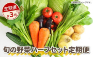 【 全3回定期便 】 野菜 詰め合わせ 産地 直送 6 ~ 8種 減農薬 栽培 旬 採れたて やさい お試し 一人暮らし ふたり暮らし 健康 食材 ハーフセット 静岡県 藤枝市