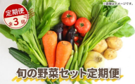 【 全3回定期便 】 野菜 詰め合わせ 産地 直送 10~ 14種 減農薬 栽培 旬 採れたて やさい 家庭用 健康 食材 静岡県 藤枝市