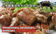 [南国斉藤牧場]山地酪農放牧牛の牛肉3種セット(計800g)