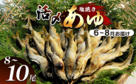 [先行予約][6月〜8月旬の鮎をお届け]活〆鮎塩焼き 発送日当日池上げした活鮎を焼いてお届け | 活〆鮎塩 新鮮活鮎塩焼き 池上げ活〆鮎 6月〜8月 活〆鮎 塩焼き発送 活鮎 塩焼き 直送 旬 ギフト ふるさと納税 栃木県 那珂川町 送料無料