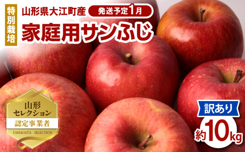 《先行予約》特別栽培 訳あり 家庭用サンふじ約10kg 【2025年1月中旬頃～発送予定】【山形りんご・大江町産・鈴木果樹園】【025-021】 1532870 - 山形県大江町