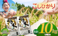 令和6年 新米 美味しい栃木のこしひかり10kg | ふるさと 納税 コシヒカリ こしひかり お米 精米 ミネラル 白米 玄米 大粒 共通返礼品 送料無料 那珂川町 栃木県