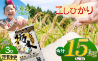 [3か月定期便]令和6年 新米 栃木県産 こしひかり 5kg | ふるさと 納税 お米 精米 白米 玄米 大粒 共通返礼品 送料無料 那珂川町 栃木県