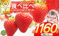 大人気！日本一のいちご生産量を誇るJAはが野が厳選 最旬 とちおとめ・とちあいか食べ比べセット 290g×4P | いちご とちおとめ とちあいか 甘い 美味しい 果物 共通返礼品 フルーツ デザート 栃木県 那珂川町 送料無料