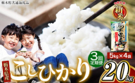 【定期便3回】令和6年 新米 栃木県産こしひかり5kg×4袋（合計20kg） | ふるさと 納税 お米 精米 白米 玄米 大粒 共通返礼品 送料無料 那珂川町 栃木県