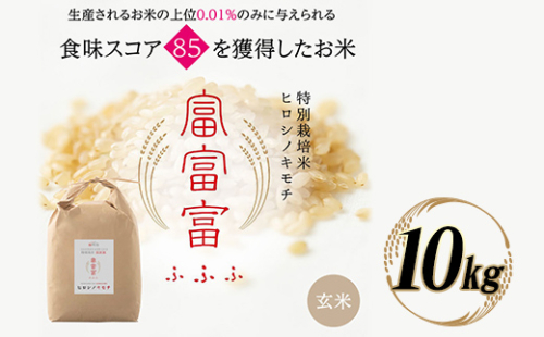 ≪先行予約≫富山県ブランド米 富富富 玄米 10kg ふふふ ブランド米 国産 米 お米 日本米 ギフト 贈り物 備蓄 防災 食品 陽咲玲 はるざれ F6T-904 1532969 - 富山県立山町
