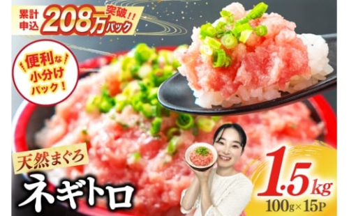 【4月発送】ネギトロ 15パック（計1.5kg）[静岡市 吉田町 22424262-4gatsu] レビューキャンペーン