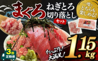 [ 3回 定期便 ]清幸丸水産 大人気!ねぎとろ と 切り落としセット 1.15kg | ネギトロ 切り落とし とろ 鮪 海鮮 魚介 魚 人気 小分け 人気 定番 ご飯 定期 定期便 オススメ 千葉県 君津市 きみつ