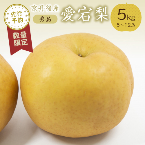 【先行予約／数量限定20】愛宕梨 秀品 5kg（5～12玉入り）（2025年12月上旬～発送）
 1533331 - 京都府京丹後市