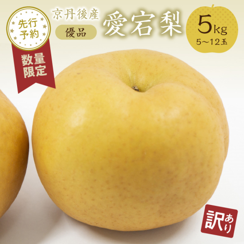 【先行予約／数量限定50】【訳あり】愛宕梨 優品 5kg（5～12玉入り）（2025年12月上旬～発送）
 1533332 - 京都府京丹後市