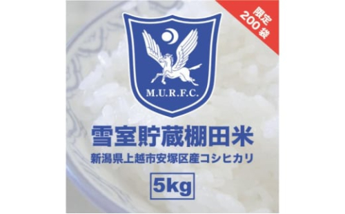 令和7年 新潟県産 コシヒカリ 雪むろ 棚田米 5kg 5キロ 白米 新米 明治大学ラグビー部 安塚 雪室 こめ 新潟 上越 上越市 1533425 - 新潟県上越市