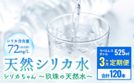 [定期便 3ヶ月] 天然 シリカ 水 525ml × 40本 [シリカちゃん〜玖珠の天然水〜] ラベルレス 天然水 シリカ水 ミネラルウォーター 国産