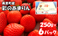 美里町産いちご6P[彩のあまりん](250g以上×6パック) / 苺 イチゴ 果物 フルーツ 埼玉県 特産品 [No.217]