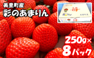 美里町産いちご8P【彩のあまりん】（250g以上×8パック） ／ 苺 イチゴ 果物 フルーツ 埼玉県 特産品 [No.218]