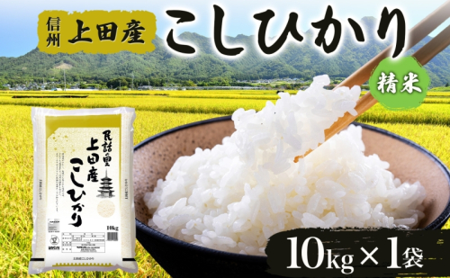 【新米予約】令和6年産 長野県 信州 上田市産 こしひかり 10kg×1袋 計10kg 精米 白米 ブランド米  銘柄米 コシヒカリ ご飯 ライス お弁当 おにぎり 主食 国産 日本産 和食 お取り寄せ 1533615 - 長野県上田市