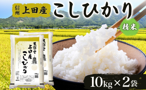 【新米予約】 令和6年産 長野県 信州 上田市産 こしひかり 10kg×2袋 計20kg 精米 白米 ブランド米  銘柄米 コシヒカリ ご飯 ライス お弁当 おにぎり 主食 国産 日本産 和食 お取り寄せ 1533616 - 長野県上田市