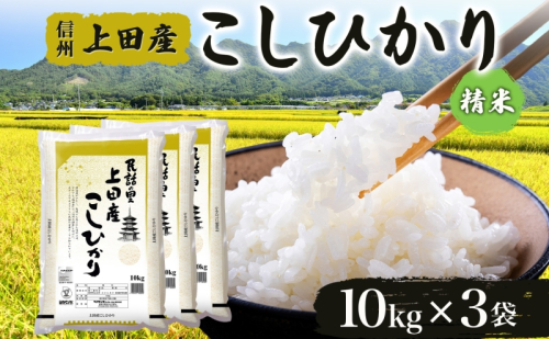 【新米予約】 令和6年産 長野県 信州 上田市産 こしひかり 10kg×3袋 計30kg 精米 白米 ブランド米  銘柄米 コシヒカリ 産地直送 主食 国産 日本産 和食 お取り寄せ 1533617 - 長野県上田市