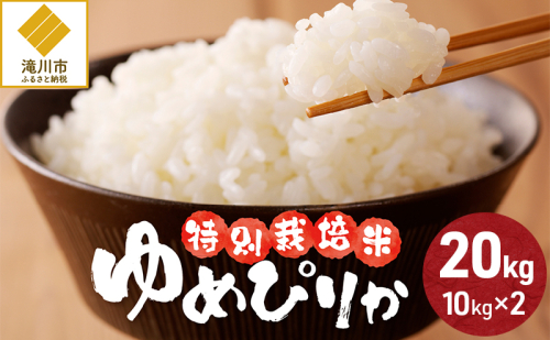 【入金確認後、最短7日発送】令和6年産米 北海道滝川産　特別栽培ゆめぴりか 20kg(10kg×2袋) ※10月中旬・新米からお届け｜北海道 滝川市 米 お米 白米 ご飯 ゆめぴりか ユメピリカ 特別栽培米 特別栽培 新米 1533622 - 北海道滝川市