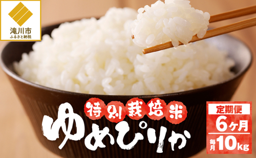 令和6年産米 北海道滝川産　特別栽培ゆめぴりか10kg(5kg×2袋)  6ヶ月連続｜北海道 滝川市 米 お米 白米 精米 ゆめぴりか ユメピリカ 特別栽培 定期便 連続お届け 1533634 - 北海道滝川市