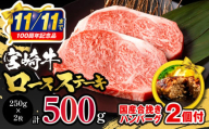 [市制100周年特別規格・期間限定]宮崎牛ロースステーキ250g×2 合挽きハンバーグ100g×2個 合計700g_M132-014-B