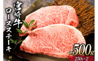 牛肉 宮崎牛 ロースステーキ 250g×2 計500g [ミヤチク 宮崎県 日向市 452061089] 肉 黒毛和牛 ステーキ ロース 冷凍[お歳暮]