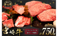 牛肉 宮崎牛 肩ロース焼肉 ミスジステーキ 計750g [ミヤチク 宮崎県 日向市 452061105] 肉 肩 ロース ミスジ ステーキ 冷凍[お歳暮]