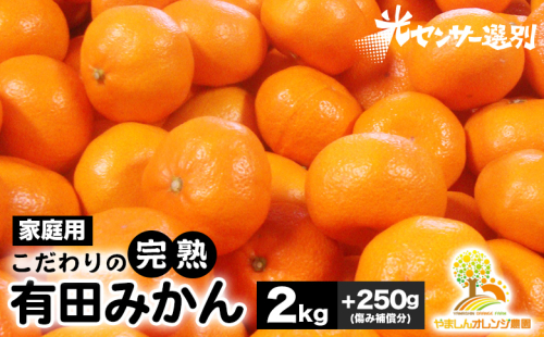 ＼光センサー選別／こだわりの完熟有田みかん 2kg＋250g(傷み補償分) 【ご家庭用】サイズ混合 有機質肥料100% ｜ みかん 有田みかん 温州みかん ミカン 温州ミカン 柑橘 温州 甘い コク 産地直送 ※2024年11月中旬～2025年1月上旬頃に順次発送予定 ※北海道・沖縄・離島への配送不可 1534466 - 和歌山県美浜町