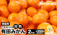 ＼光センサー選別／こだわりの完熟有田みかん 2kg＋250g(傷み補償分) 【ご家庭用】サイズ混合 有機質肥料100% ｜ みかん 有田みかん 温州みかん ミカン 温州ミカン 柑橘 温州 甘い コク 産地直送 ※2024年11月中旬～2025年1月上旬頃に順次発送予定 ※北海道・沖縄・離島への配送不可