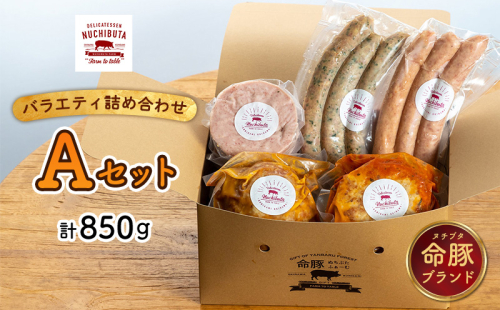 デリカテッセンヌチブタ　バラエティ詰め合わせ【Aセット】計850g NUCHIBUTA 豚肉 加工品 ソーセージ ハンバーグ ポーク 詰め合わせ バラエティ おつまみ おかず 肉 グルメ 手作り アウトドア バーベキュー キャンプ飯 冷凍 国産 沖縄県産 沖縄市 1534550 - 沖縄県沖縄市