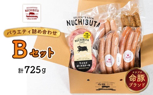 デリカテッセンヌチブタ　バラエティ詰め合わせ【Bセット】計725g NUCHIBUTA 豚肉 加工品 ソーセージ ポーク 詰め合わせ バラエティ おつまみ おかず 肉 猪豚 グルメ 手作り アウトドア バーベキュー キャンプ飯 冷凍 国産 沖縄県産 沖縄市 1534552 - 沖縄県沖縄市