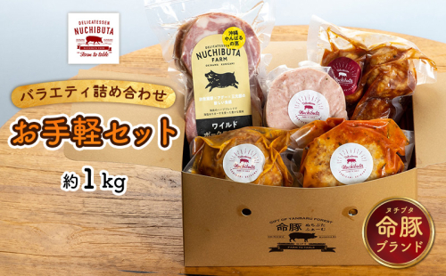 デリカテッセンヌチブタ　バラエティ詰め合わせ【お手軽セット】約1kg NUCHIBUTA 豚肉 加工品 ハンバーグ ポーク 詰め合わせ バラエティ おつまみ おかず 肉 猪豚 グルメ 手作り アウトドア バーベキュー キャンプ飯 冷凍 国産 沖縄県産 沖縄市 1534556 - 沖縄県沖縄市