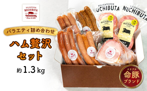 デリカテッセンヌチブタ　バラエティ詰め合わせ【ハム贅沢セット】約1.3kg NUCHIBUTA 豚肉 加工品 ソーセージ ポーク ハム 詰め合わせ バラエティ おつまみ おかず 肉 グルメ 手作り アウトドア バーベキュー キャンプ飯 冷凍 国産 沖縄県産 沖縄市 1534557 - 沖縄県沖縄市