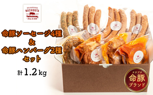 命豚ソーセージ4種＆命豚ハンバーグ2種セット　計1.2kg NUCHIBUTA 豚肉 加工品 ソーセージ ハンバーグ 詰め合わせ バラエティ おつまみ おかず 肉 猪豚 グルメ 手作り アウトドア バーベキュー キャンプ飯 冷凍 国産 沖縄県産 沖縄市 1534558 - 沖縄県沖縄市