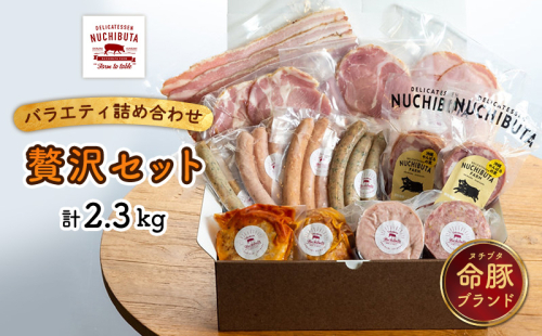 デリカテッセンヌチブタ　バラエティ詰め合わせ【贅沢セット】計2.3kg NUCHIBUTA 豚肉 加工品 ソーセージ ハンバーグ ベーコン ハム ポーク 詰め合わせ バラエティ おつまみ おかず 肉 グルメ 手作り アウトドア バーベキュー キャンプ飯 沖縄県産 沖縄市 1534559 - 沖縄県沖縄市