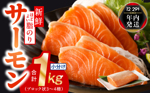 【年内発送】サーモン 1kg ポーション 小分け 刺身 海鮮丼 サラダ カルパッチョ within2024 010B1494y 1534561 - 大阪府泉佐野市