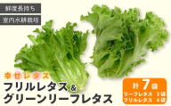 野菜 詰め合わせ セット レタス 計7個 幸せレタス フリルレタス 4個 グリーンリーフ 3個 水耕栽培  LED 栽培 低菌 野菜 丸ごと ベジタブル 副菜 常備菜 サラダ ヴィーガン ヘルシー