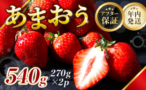 福岡県産 あまおう 540g 送料無料 いちご 果物 フルーツ ギフト 季節限定 スイーツ ケーキ ブランド 先行予約 2024年12月より順次発送 TY050-1 1534972 - 福岡県宇美町