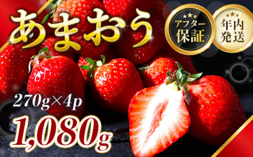 福岡県産 あまおう 1080g 送料無料 いちご 果物 フルーツ ギフト 季節限定 スイーツ ケーキ ブランド 先行予約 2024年12月より順次発送 TY050-2 1534973 - 福岡県宇美町