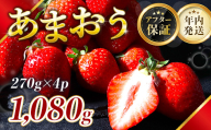 福岡県産 あまおう 1080g 送料無料 いちご 果物 フルーツ ギフト 季節限定 スイーツ ケーキ ブランド 先行予約 2024年12月より順次発送 TY050-2