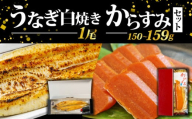 国産 からすみ 片腹 うなぎ 白焼 1尾 セット ( うなぎ 鰻 新鮮 たれ 土曜 丑の日 白焼き 国産 からすみ  おすすめ おつまみ 珍味 酒の肴 日本酒 にあう カラスミ 産地直送 自家製 滋賀県 竜王 送料無料 )