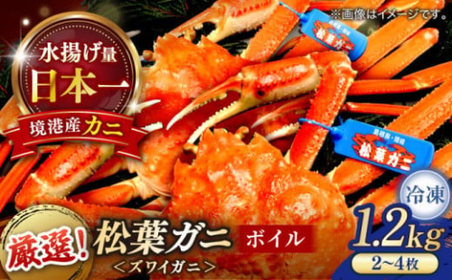 急速冷凍で旨みをぎゅっと閉じ込めた！松葉がにボイル姿1.2kg以上(2～4枚) 島根県松江市/中浦食品株式会社 [ALBO003]｜山陰 島根 松江 松葉ガニ 松葉がに 松葉蟹 かに カニ 蟹 ボイル 冷凍 パーティー 家族 冷凍 1535411 - 島根県松江市