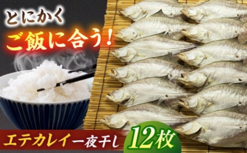 ほかほかのご飯にぴったり！恵曇エテカレイ一夜干しセット×12尾 島根県松江市/有限会社丸三商店 [ALCP003]｜カレイ 鰈 かれい 魚 干物 一夜干し 開き 山陰沖 日本海 鹿島町 セット 手作り 1535430 - 島根県松江市
