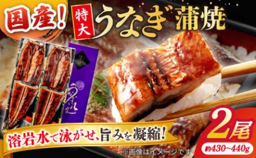 うなぎ老舗専門店のパリっとふっくら国産うなぎ 蒲焼2尾(蒲焼のタレ付き) 島根県松江市/株式会社山美世商会 [ALDC001]｜国産 うなぎ ウナギ 鰻 特大 蒲焼き 蒲焼 国産 冷凍 うな重 ひつまぶし 丑の日 土用の丑の日 人気 1535431 - 島根県松江市