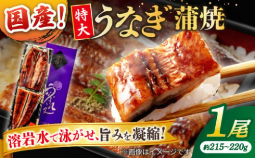 うなぎ老舗専門店のパリっとふっくら国産うなぎ 蒲焼1尾(蒲焼のタレ付き) 島根県松江市/株式会社山美世商会 [ALDC003]｜国産 うなぎ ウナギ 鰻 特大 蒲焼き 蒲焼 国産 冷凍 うな重 ひつまぶし 丑の日 土用の丑の日 人気 1535433 - 島根県松江市