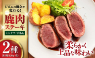 【お歳暮対象】【モモ肉】 鹿肉 ステーキ2種セット（シンタマ120g×3枚・内もも120g×3枚）《喜茂別町》【EBIJIN】 ジビエ 鹿 モモ セット 詰め合わせ ステーキ ステーキ用 赤身 冷凍 冷凍配送 北海道 [AJAO001] 40000 40000円 4万円