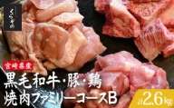 宮崎県産 牛・豚・鶏 焼肉ファミリーコースB 計2.6kg（牛肉 豚肉 鶏肉 和牛 ロース モモ ウデ 焼肉 小分け 人気）