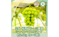 ＜2025年先行受付＞山梨 萩原フルーツ農園のシャインマスカット B(約2.8kg 4～7房)【1559305】