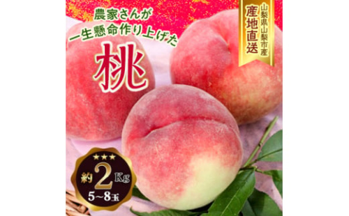 ＜ふるさと納税＞2026年先行予約 山梨県山梨市産 桃 約2kg(5～8玉)【1560863】
