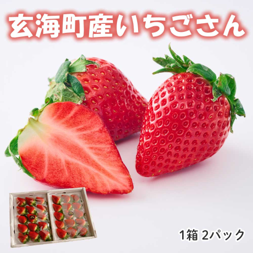 ★予約受付★平川いちご農園 佐賀県玄海町産いちご「いちごさん」2025年1月～4月順次配送 1536298 - 佐賀県玄海町